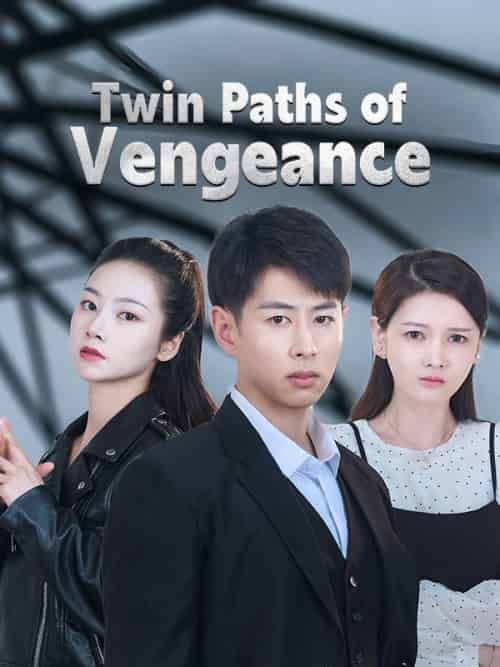 Twin Paths of Vengeance（87 episodes） - 海之城海外短剧