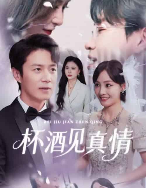 杯酒见真情＆虚情再难掩（68集全）陈聿修＆顾佳菡-海之城短剧项目
