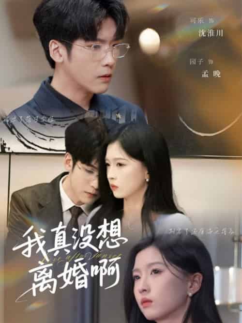 我真没想离婚啊 我真没想离婚啊