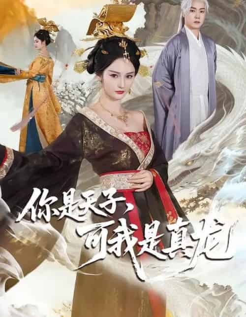 你是天子，可我是真龙（88集全）孙雪阳＆胡冬晴-海之城短剧项目
