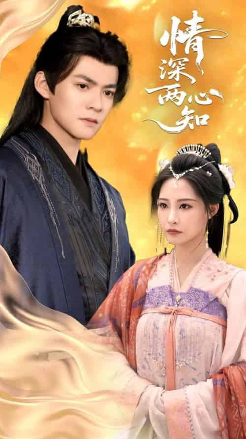 情深两心知（70集全）张震＆吕岳 - 海之城短剧