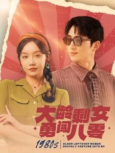 大龄剩女勇闯八零（96集）汤圆 - 海之城短剧