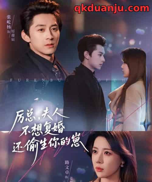 厉总，夫人不想复婚还偷生你的崽（80集全）张屹杨＆路文卓-海之城短剧项目