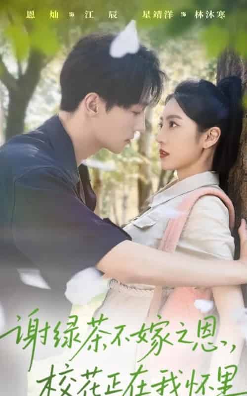 谢绿茶不嫁之恩校花正在我怀里（56集全）星靖洋＆恩灿-海之城短剧项目