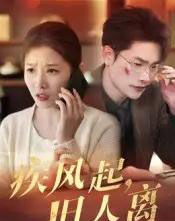 疾风起旧人离（32集）薛海威＆刘灿-海之城短剧项目