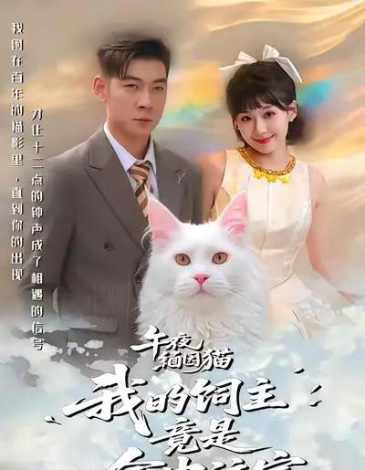 午夜缅因猫我的饲主竟是命中注定（66集全）白龙＆王之遥-海之城短剧项目