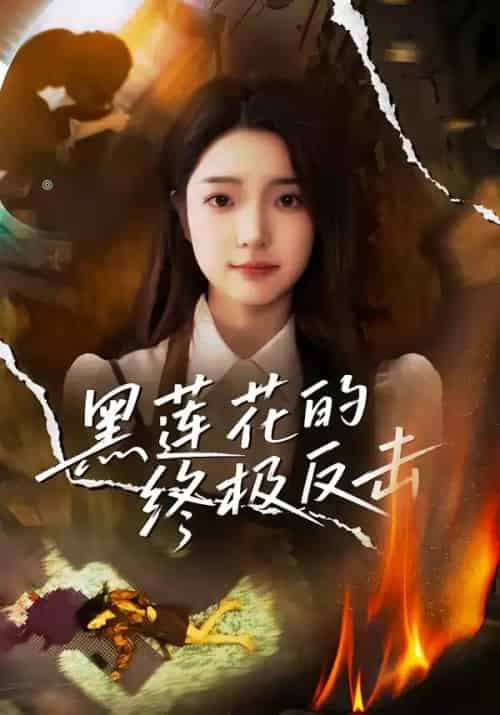 黑莲花的终极反击（60集全）鲁倩倩-海之城短剧项目