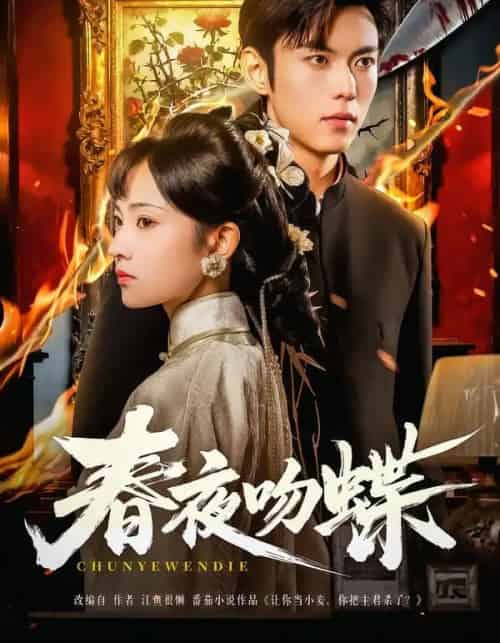 春夜吻蝶（81集全）于航＆王欢欢-海之城短剧项目