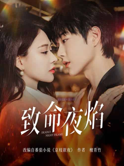 致命夜焰（80集全）王轩＆何适 - 海之城短剧