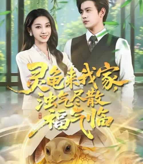 灵龟来我家，浊气尽散福气临（78集全）苏亮＆王安琪-海之城短剧项目