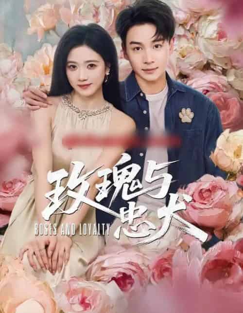 玫瑰与忠犬（80集全）范高坡＆雯婕-海之城短剧项目