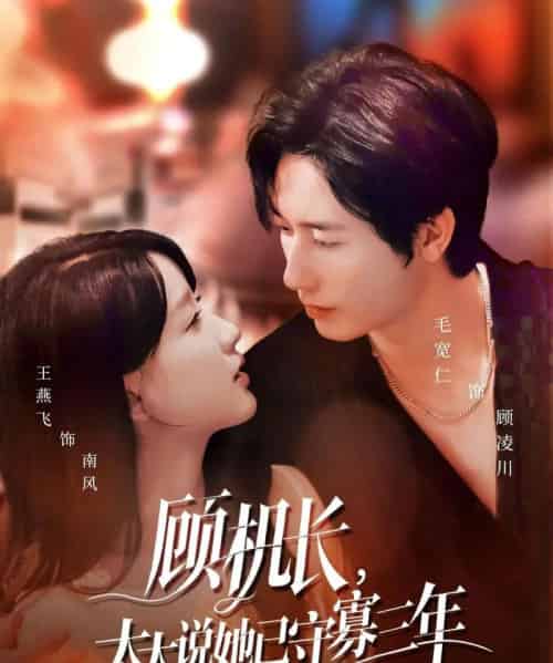 顾机长，太太说她已守寡三年＆许你晴空万里（80集全）毛宽仁＆王燕飞-海之城短剧项目