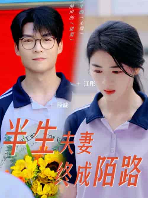 半生夫妻终成陌路（60集） - 海之城短剧