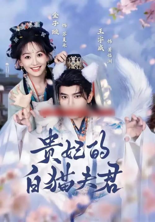 贵妃的白猫夫君（81集全）王宇威＆金子璇-海之城短剧项目