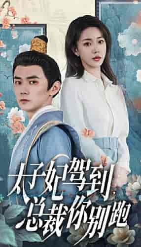 太子妃驾到,总裁你别跑 太子妃驾到,总裁你别跑