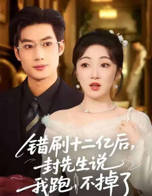 错刷十二亿后，封先生说我跑不掉了（100集全）肖洋＆海依凡-海之城短剧项目