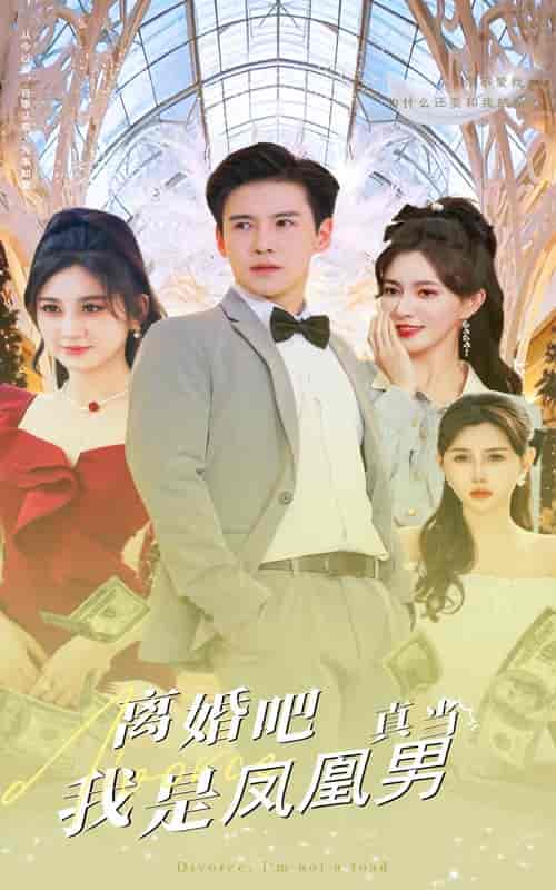 离婚吧真当我是凤凰男 离婚吧真当我是凤凰男