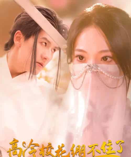 高冷校花绷不住了（100集）张笑颜＆赵嘉钰-海之城短剧项目