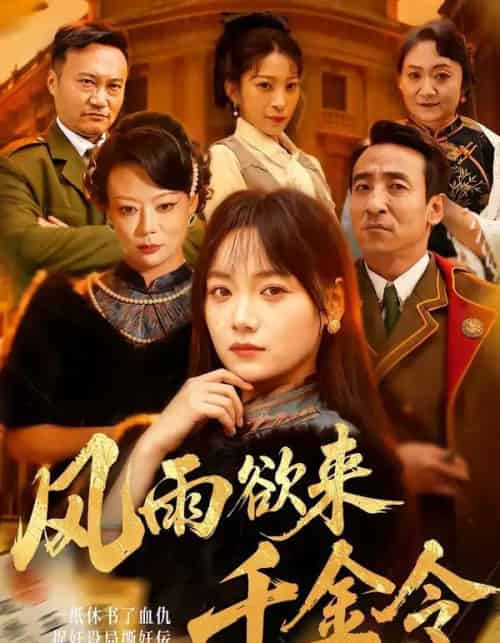 风雨欲来千金令（60集全）黄小再＆王嘉儒-海之城短剧项目