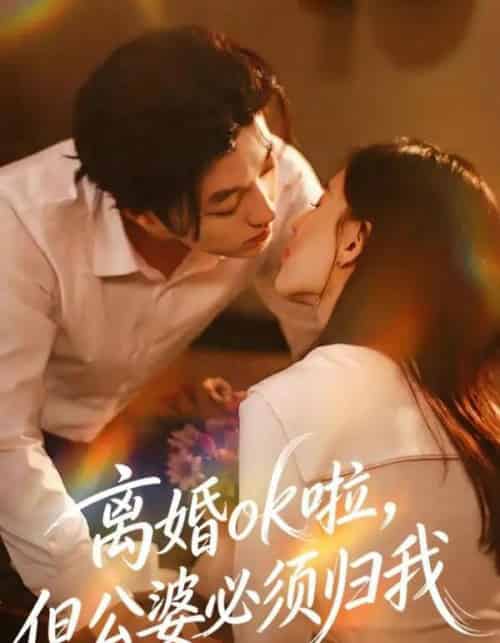 离婚ok啦，但公婆必须归我（79集全）李隆基＆张语涵-海之城短剧项目