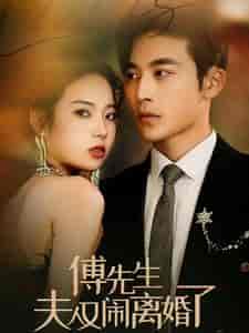 傅先生夫人又闹离婚了（80集）李艺璇 - 海之城短剧
