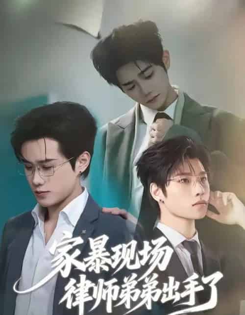 家暴现场律师弟弟出手了（30集全）紫铭＆宵羽宁-海之城短剧项目
