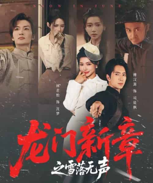 龙门新章之雪落无声（62集全）傅汉源＆林君怡-海之城短剧项目