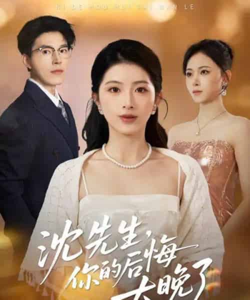 沈先生，你的后悔太晚了（40集全）肖琳＆翟中星＆王慧珠-海之城短剧项目