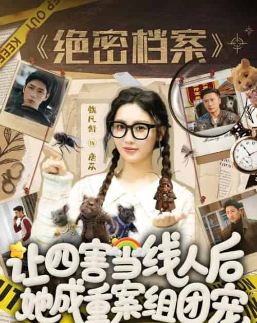 让四害当线人后，她成重案组团宠（115集全）姚擎烽＆魏凡舒-海之城短剧项目