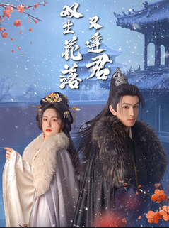 双生花落又逢君（66集全）林可汉＆白雪茹 - 海之城短剧