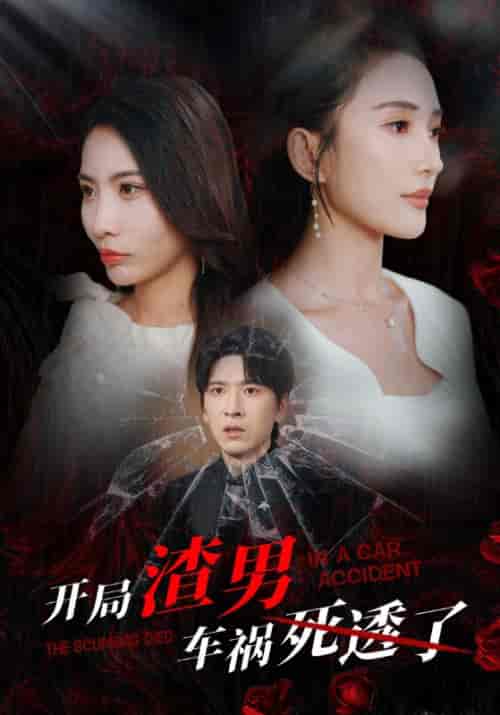 开局渣男车祸死透了（38集全）顾羡诚＆季宁心 - 海之城短剧