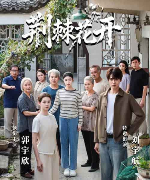 jing｜棘花开（60集全）刘宇航＆郭宇欣-海之城短剧项目