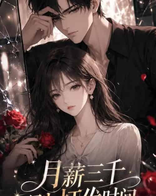 月薪三千只为打发时间（32集全）动漫-海之城短剧项目