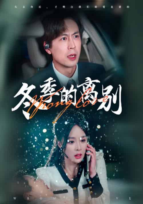 冬季的离别 冬季的离别