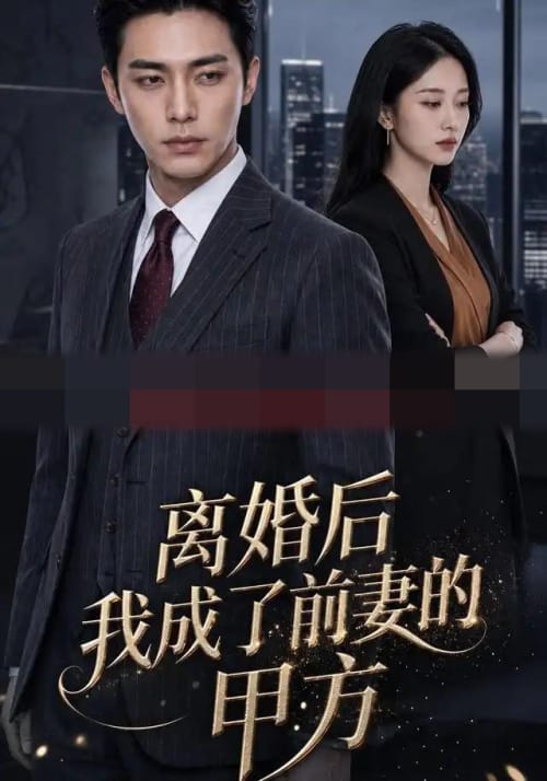 离婚后我成了前妻的甲方 离婚后我成了前妻的甲方