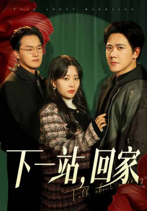 下一站，回家（42集全） - 海之城短剧