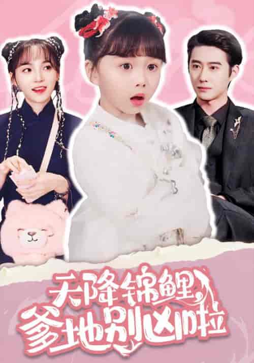 天降锦鲤，爹地别凶啦（62集全）厉霆琛＆小八 - 海之城短剧