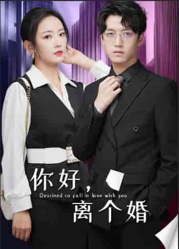 你好，离个婚（30集） - 海之城短剧