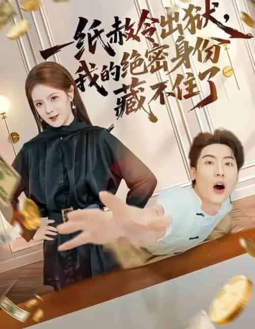 一纸赦令出狱，我的绝密身份藏不住了（80集全）吕彦霏＆张龙-海之城短剧项目