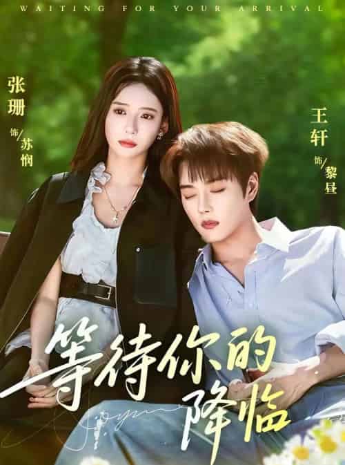 等待你的降临（64集全）王轩＆张珊-海之城短剧项目