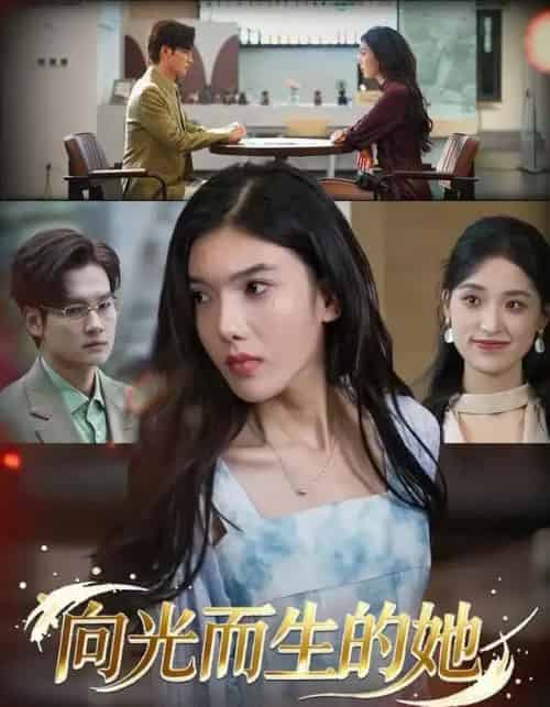 向光而生的她（36集全）王子茜＆刘国文-海之城短剧项目