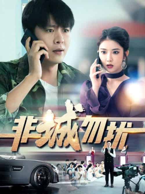 非城勿扰（100集全）王大力＆李菲儿 - 海之城短剧