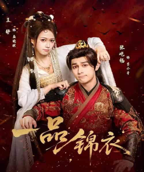 一品锦衣（80集全）张屹杨＆王静-海之城短剧项目