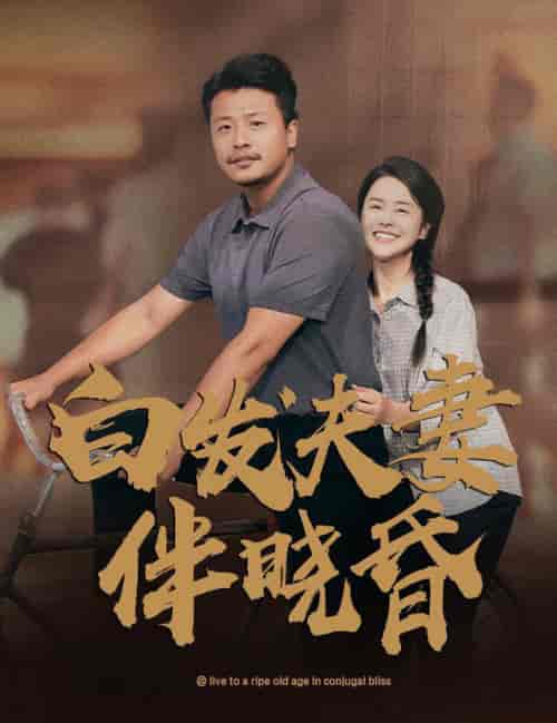 白发夫妻傍晓昏 白发夫妻傍晓昏