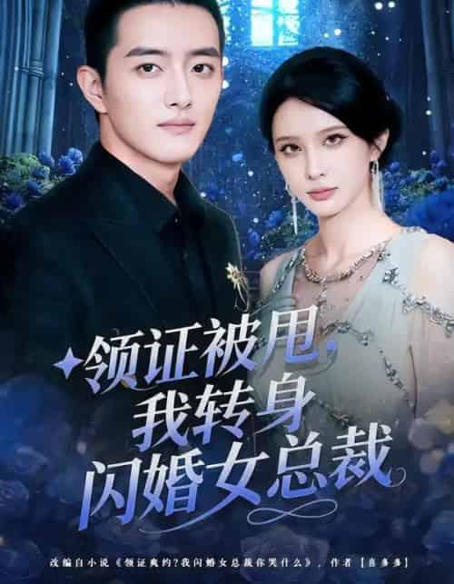 领证被甩，我转身闪婚女总裁（80集全）顾梢姌＆王晨旭 - 海之城短剧