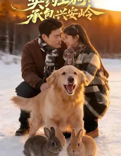 重生86：契约土狗，承包兴安岭（80集全）王冠程＆李可馨-海之城短剧项目