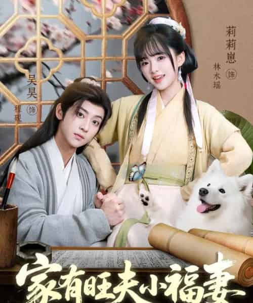 家有旺夫小福妻（93集）吴昊＆莉莉崽-海之城短剧项目