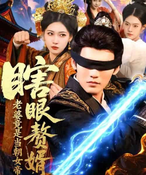 瞎眼赘婿，老婆竟是当朝女帝（84集全）林准-海之城短剧项目