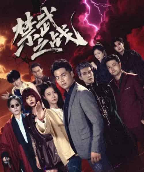 禁武之战（60集） - 海之城短剧