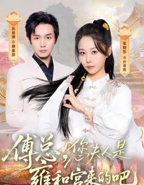 傅总，您夫人是雍和宫来的吧（80集全）张晓彤＆孙煜博-海之城短剧项目